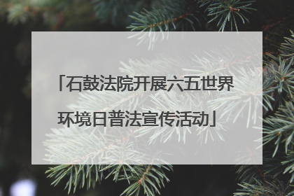 石鼓法院开展六五世界环境日普法宣传活动