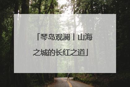 琴岛观澜丨山海之城的长红之道