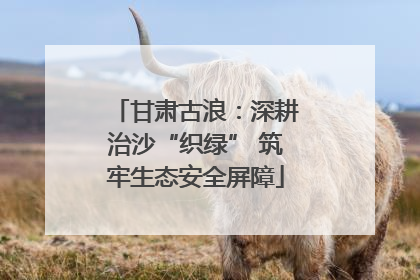 甘肃古浪：深耕治沙“织绿” 筑牢生态安全屏障