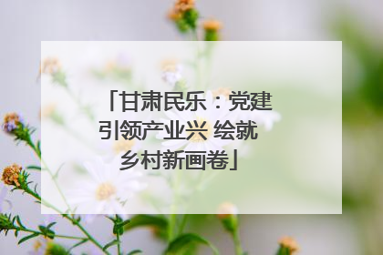 甘肃民乐：党建引领产业兴 绘就乡村新画卷