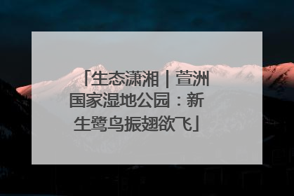 生态潇湘｜萱洲国家湿地公园：新生鹭鸟振翅欲飞