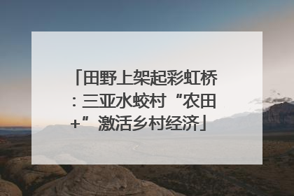 田野上架起彩虹桥：三亚水蛟村“农田+”激活乡村经济