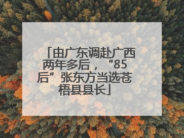 由广东调赴广西两年多后，“85后”张东方当选苍梧县县长