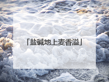 盐碱地上麦香溢
