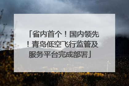 省内首个！国内领先！青岛低空飞行监管及服务平台完成部署