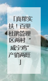 真帮实扶！百里杜鹃管理区两村“威宁鸡”产销两旺