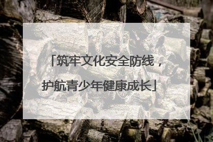 筑牢文化安全防线，护航青少年健康成长