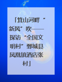 箕山河畔“新风”吹——探访“全国文明村”鄄城县凤凰镇酒店张村