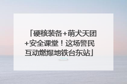 硬核装备+萌犬天团+安全课堂！这场警民互动燃爆地铁台东站