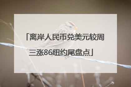 离岸人民币兑美元较周三涨86纽约尾盘点