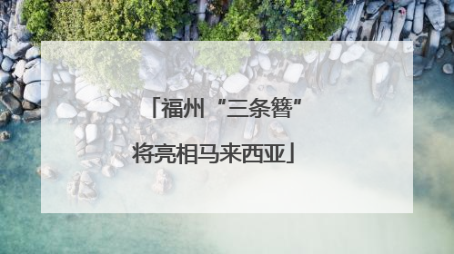 福州“三条簪”将亮相马来西亚