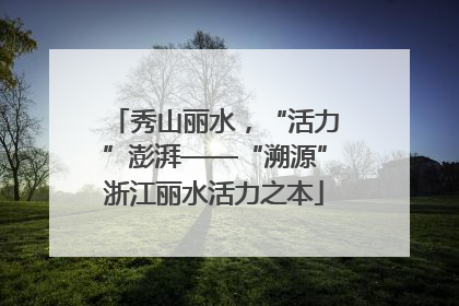秀山丽水，“活力”澎湃——“溯源”浙江丽水活力之本