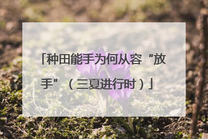 种田能手为何从容“放手”（三夏进行时）