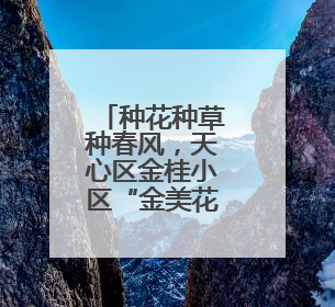 种花种草种春风，天心区金桂小区“金美花园”种出治理新气象