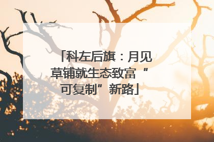 科左后旗：月见草铺就生态致富“可复制”新路
