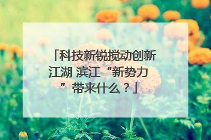 科技新锐搅动创新江湖 滨江“新势力”带来什么？