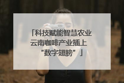科技赋能智慧农业 云南咖啡产业插上“数字翅膀”