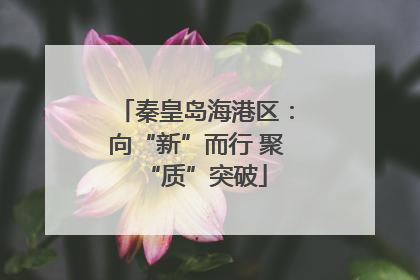 秦皇岛海港区：向“新”而行 聚“质”突破