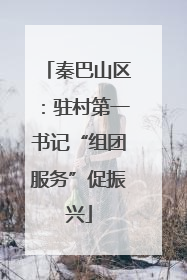 秦巴山区：驻村第一书记“组团服务”促振兴
