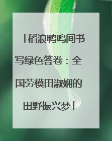 稻浪鸭鸣间书写绿色答卷：全国劳模田淑娴的田野振兴梦