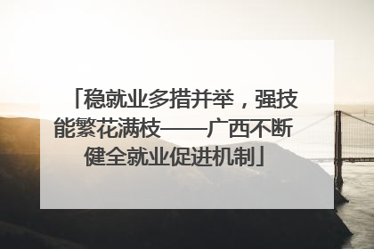 稳就业多措并举，强技能繁花满枝——广西不断健全就业促进机制