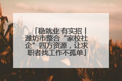 稳就业 有实招丨潍坊市整合“家校社企”四方资源，让求职者找工作不孤单