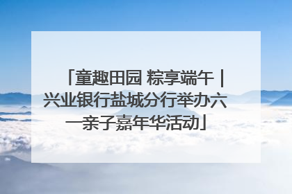 童趣田园 粽享端午｜兴业银行盐城分行举办六一亲子嘉年华活动