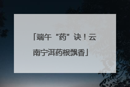 端午“药”诀！云南宁洱药根飘香