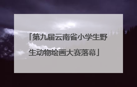 第九届云南省小学生野生动物绘画大赛落幕