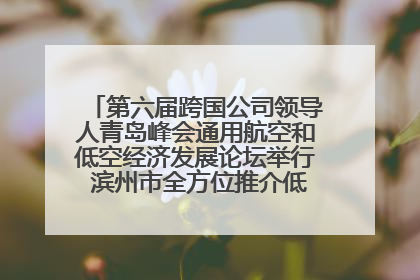 第六届跨国公司领导人青岛峰会通用航空和低空经济发展论坛举行 滨州市全方位推介低空经济发展优势
