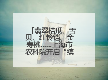 翡翠桔瓜、雪贝、红铃铛、金寿桃……上海市农科院开启“缤纷蔬菜之约”
