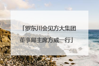 罗东川会见方大集团董事局主席方威一行