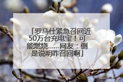 罗马仕紧急召回近50万台充电宝！可能燃烧……网友：倒是说明咋召回啊