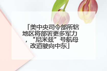 美中央司令部所辖地区将部署更多军力，“尼米兹”号航母改道驶向中东