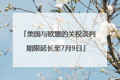 美国与欧盟的关税谈判期限延长至7月9日