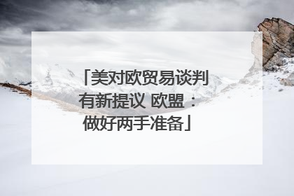 美对欧贸易谈判有新提议 欧盟：做好两手准备