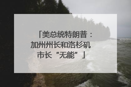 美总统特朗普：加州州长和洛杉矶市长“无能”