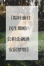 粽叶裹住民生期盼 公积金融通安居梦想