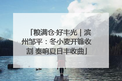 粮满仓·好丰光｜滨州邹平：冬小麦开镰收割 奏响夏日丰收曲