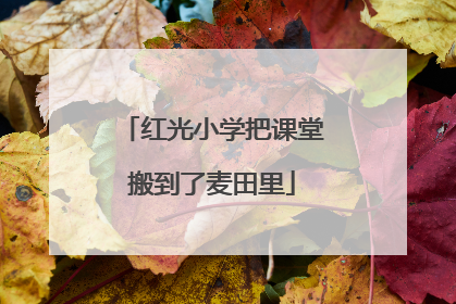 红光小学把课堂搬到了麦田里