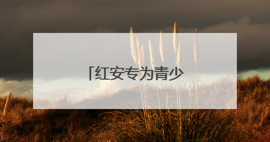 红安专为青少年的禁毒课在庭审现场开讲