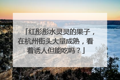 红彤彤水灵灵的果子，在杭州街头大量成熟，看着诱人但能吃吗？