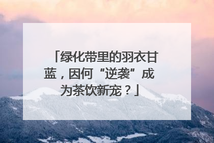 绿化带里的羽衣甘蓝，因何“逆袭”成为茶饮新宠？