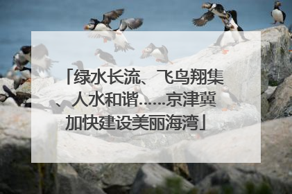 绿水长流、飞鸟翔集、人水和谐……京津冀加快建设美丽海湾