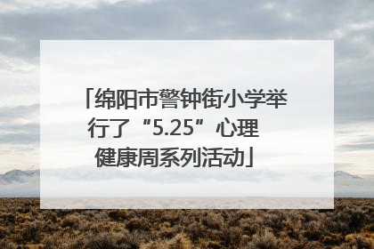 绵阳市警钟街小学举行了“5.25”心理健康周系列活动