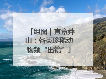 组图｜宜章莽山：各类珍稀动物频“出镜”