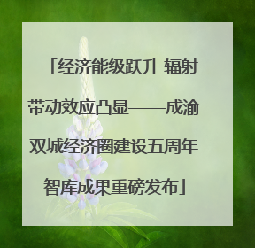 经济能级跃升 辐射带动效应凸显——成渝双城经济圈建设五周年智库成果重磅发布