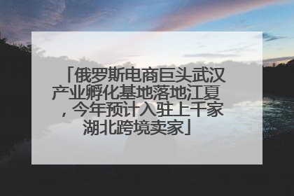 俄罗斯电商巨头武汉产业孵化基地落地江夏，今年预计入驻上千家湖北跨境卖家