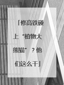 修高铁碰上“植物大熊猫”？他们这么干