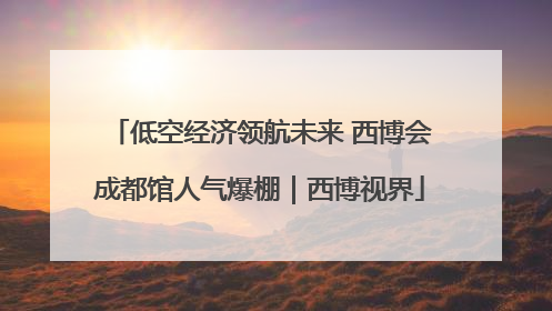 低空经济领航未来 西博会成都馆人气爆棚｜西博视界